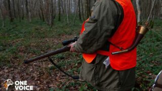 Sondage Ipsos/ One Voice 2023. Les Français et la chasse : le fossé se creuse