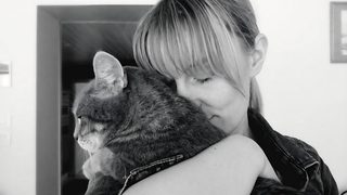 Comportement des chats en Seine-et-Marne : Angélique, fondatrice d’Aurafélis, aide les propriétaires à trouver des solutions sur Marne-la-Vallée (77)
