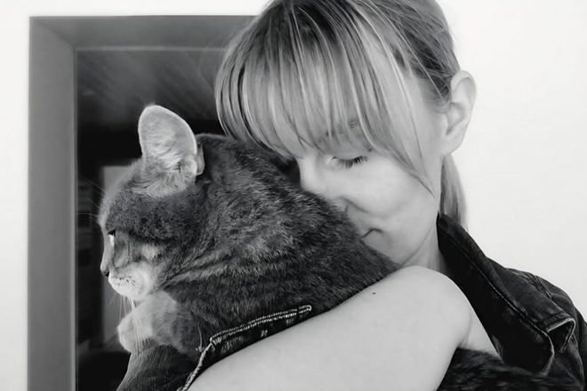Comportement des chats en Seine-et-Marne : Angélique, fondatrice d’Aurafélis, aide les propriétaires à trouver des solutions sur Marne-la-Vallée (77)