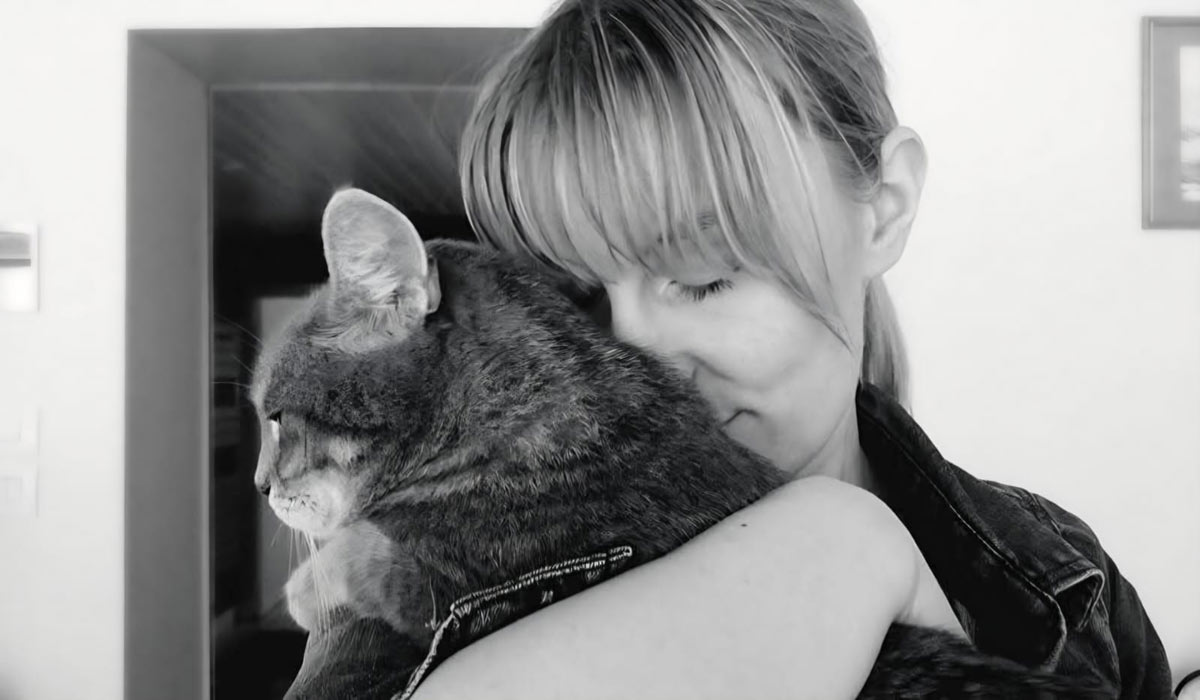 Comportement des chats en Seine-et-Marne : Angélique, fondatrice d’Aurafélis, aide les propriétaires à trouver des solutions sur Marne-la-Vallée (77) Comportement des chats en Seine-et-Marne : Angélique, fondatrice d’Aurafélis, aide les propriétaires à trouver des solutions sur Marne-la-Vallée (77)
