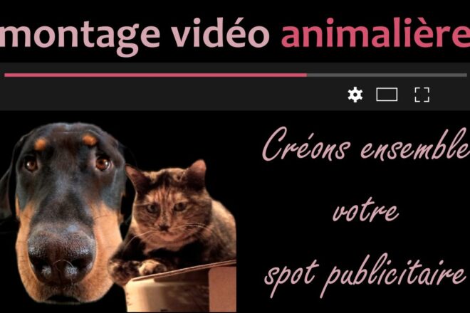 Vous souhaitez mettre en avant votre activité ?