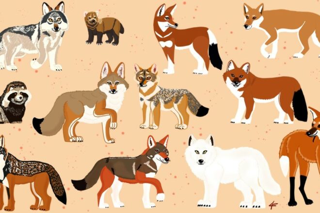 Illustratrice/Animatrice 2D, recherche ses potentiels clients