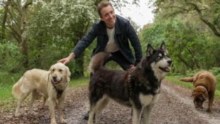 D’où viennent les chiens à la mode ? Sur le front, lundi 25 mai à 21h05 sur France 5, sur France.tv