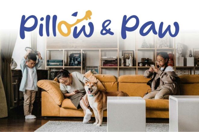 Pillow & Paw, l’hébergement pet-friendly et engagé pour des vacances avec votre animal