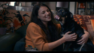 Mon métier, une passion : comportementaliste animalière pour chiens et chats