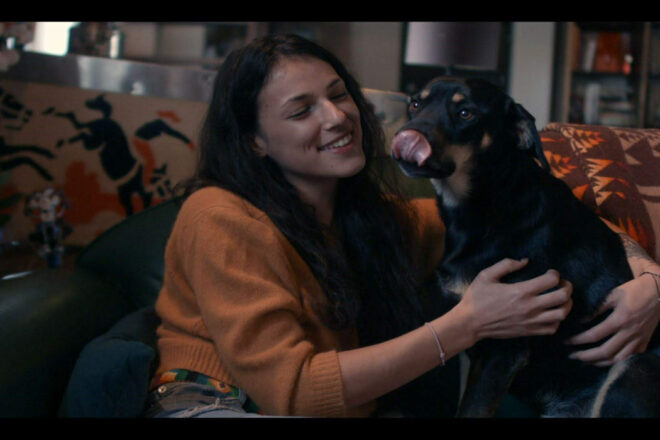 Mon métier, une passion : comportementaliste animalière pour chiens et chats