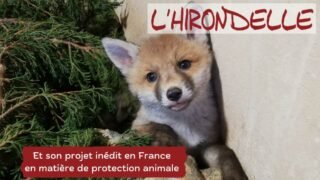 Un projet inédit en France en matière de protection animale !