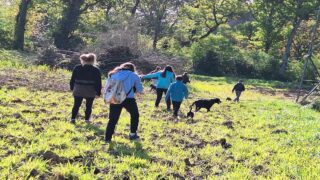 Woof’in : éduquer, sensibiliser, informer pour agir convenablement