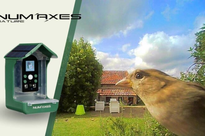 Découvrir la nature et ses bienfaits, observer et comprendre la faune et la flore