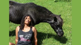La féminisation du monde équestre : évolution vers l’univers équin