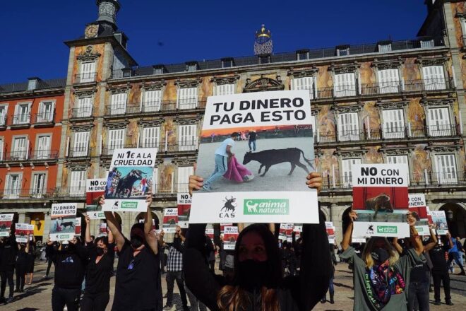 Recul de la tauromachie en Espagne, un mouvement de fond indépendant des aléas politiques