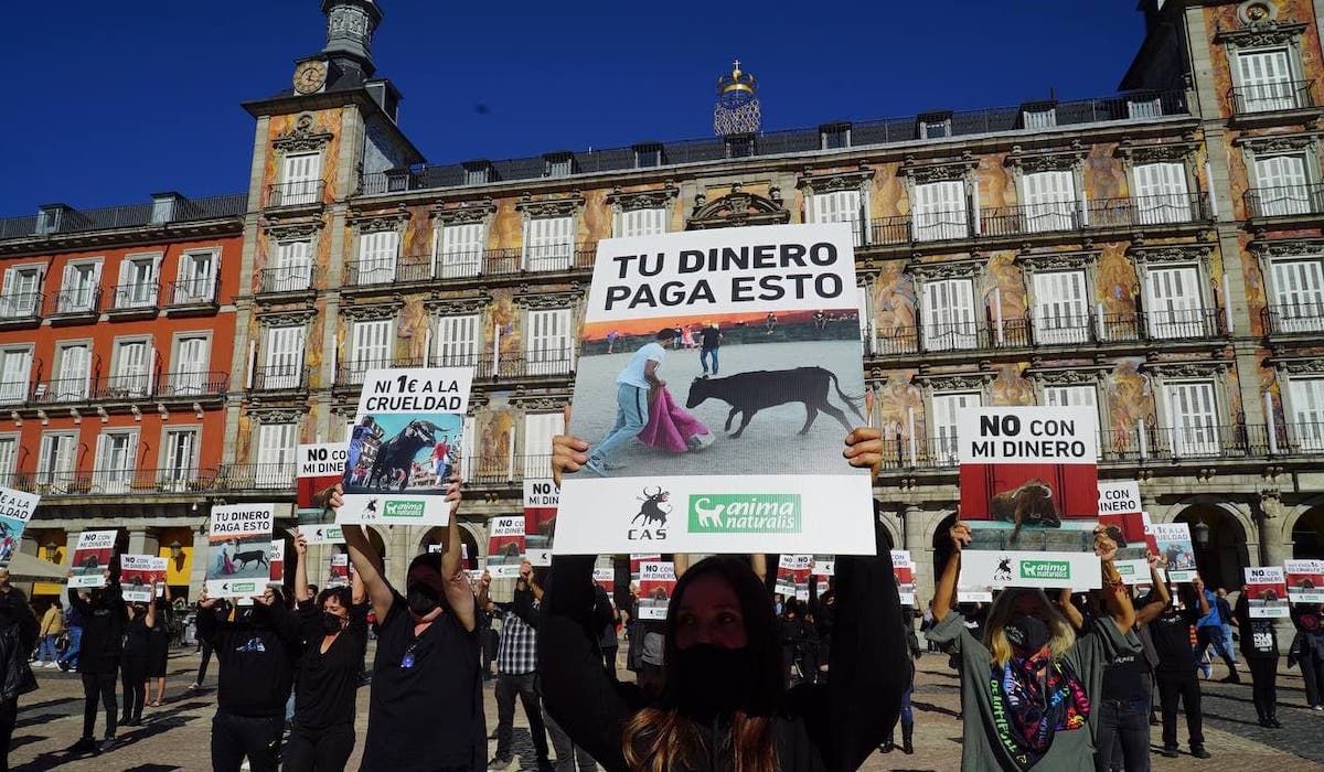 Recul de la tauromachie en Espagne, un mouvement de fond indépendant des aléas politiques