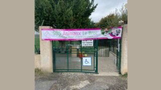 Sos Animaux Le Broc : c’est ici que commence leur seconde chance