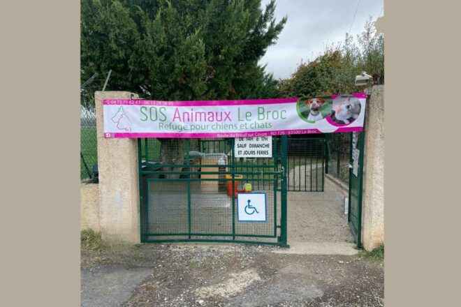 Sos Animaux Le Broc : c’est ici que commence leur seconde chance