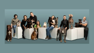 Quand les pros font équipe pour le bien-être animal- Photographie, éducation, toilettage : trois métiers, une même philosophie