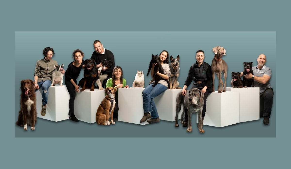 Quand les pros font équipe pour le bien-être animal- Photographie, éducation, toilettage : trois métiers, une même philosophie