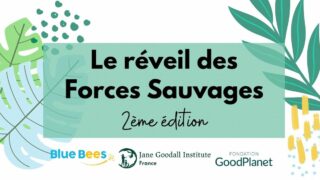 Campagne « le réveil des forces sauvages » du Jane Goodall Institute 