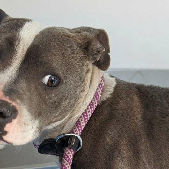 Riya avant son sauvetage