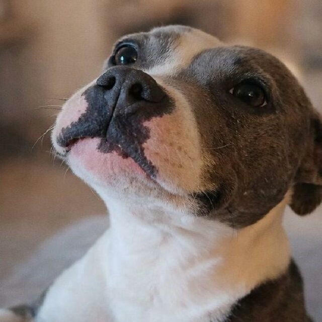 Riya après son sauvetage