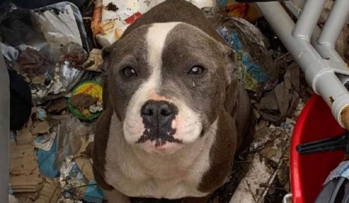 Affaire Riya : le verdict en appel