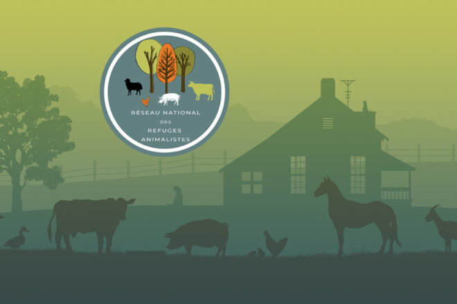 Lancement du Réseau National des Refuges Animalistes