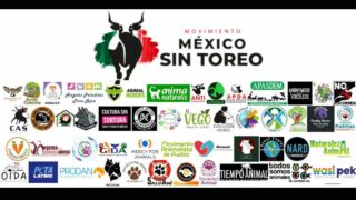 La coalition Mexico Sin Toreo