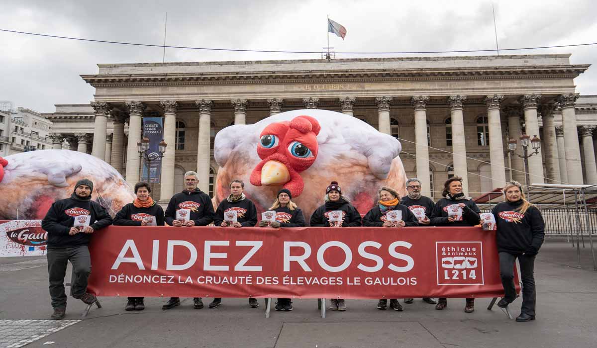 Paris : des poulets géants sur la place de la Bourse