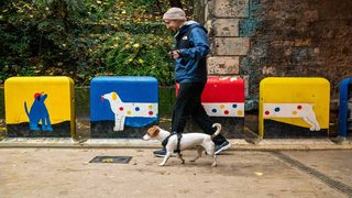 Rover lance le premier Running Dog Club de Paris le 26 septembre