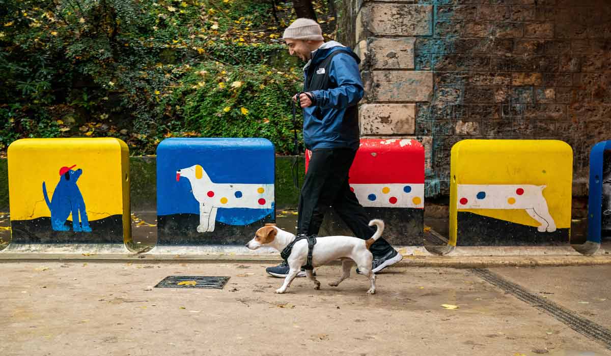 Rover lance le premier Running Dog Club de Paris le 26 septembre Rover lance le premier Running Dog Club de Paris le 26 septembre