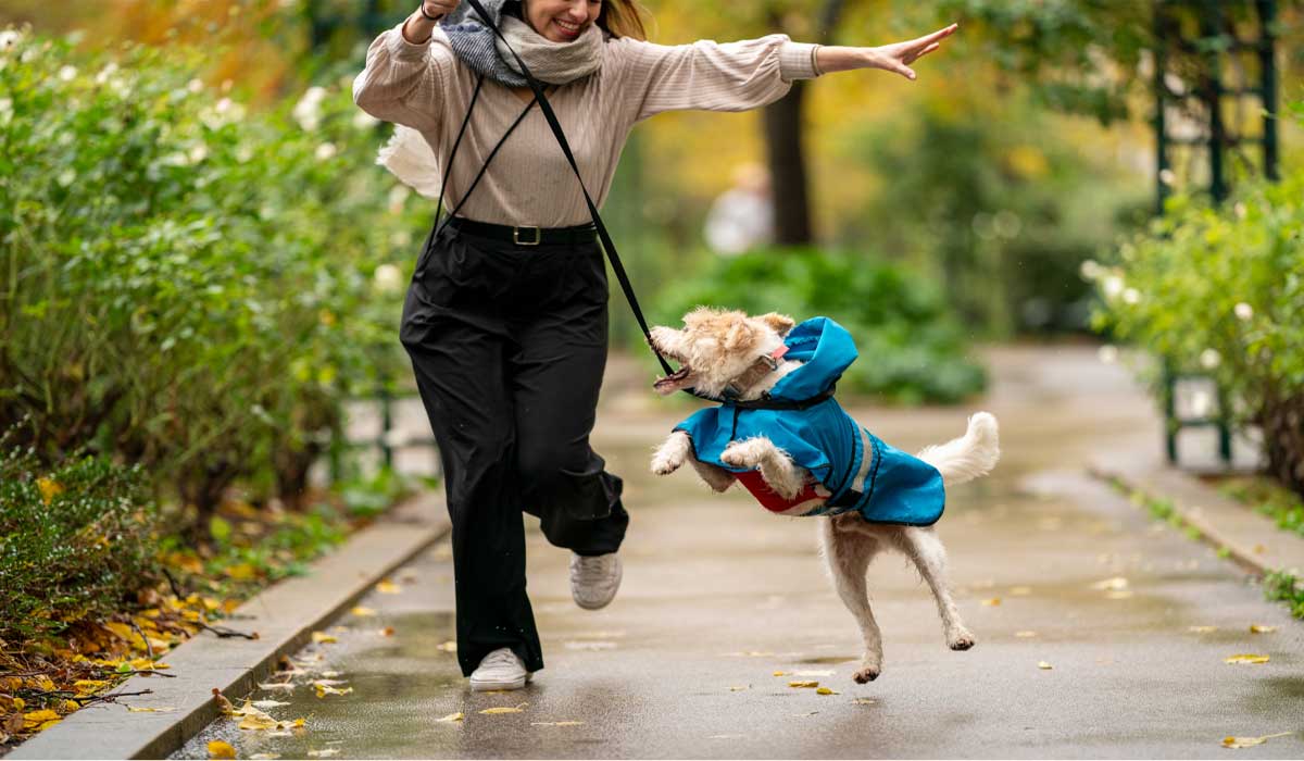 Étude Rover : 7 français sur 10 bougent plus depuis qu’ils ont un chien