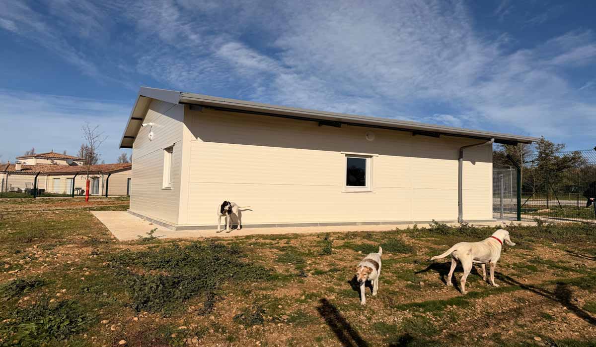 Un refuge visionnaire : des barreaux aux maisons, un modèle inédit de semi-liberté animale voit le jour en France Un refuge visionnaire : des barreaux aux maisons, un modèle inédit de semi-liberté animale voit le jour en France