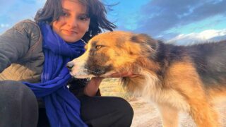 Les amis de S.A.M. Marrakech : les animaux sont notre priorité !