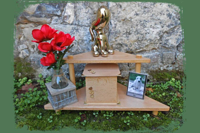 Le sanctuaire des 4 pattes, une histoire de sentiments