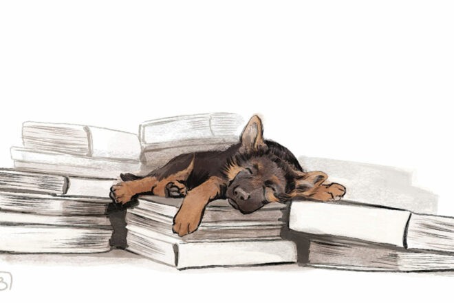 Toutes les nuances de bruit