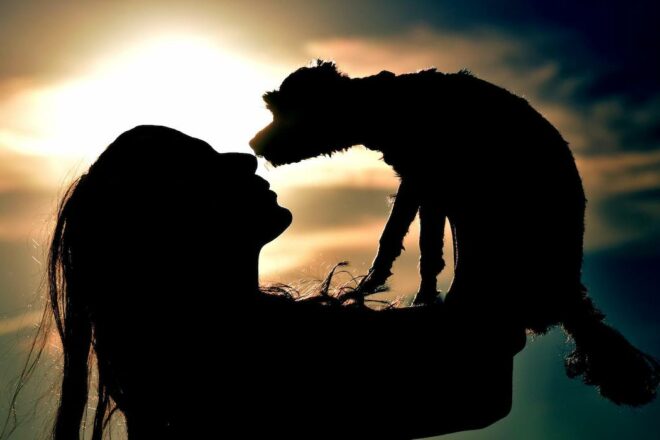 Pour des relations humain-animal mutuellement bénéfiques 