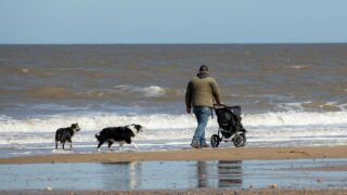 Enquête Ipsos x Santévet : Inflation : 1 Français sur 4 se prive pour son animal