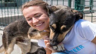 La satisfaction de compassion