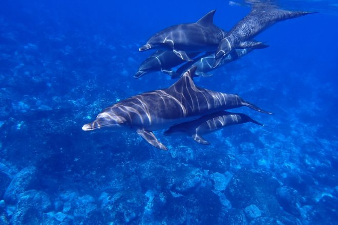 Interview de Madame Christine Grandjean, Présidente de l’association “C’est assez !”