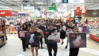Action inédite : 120 militants de L214 investissent le plus grand Carrefour de France
