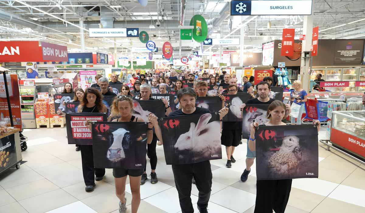 Action inédite : 120 militants de L214 investissent le plus grand Carrefour de France Action inédite : 120 militants de L214 investissent le plus grand Carrefour de France