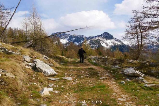 En immersion avec Gérard Millischer dans le Parc national du Mercantour
