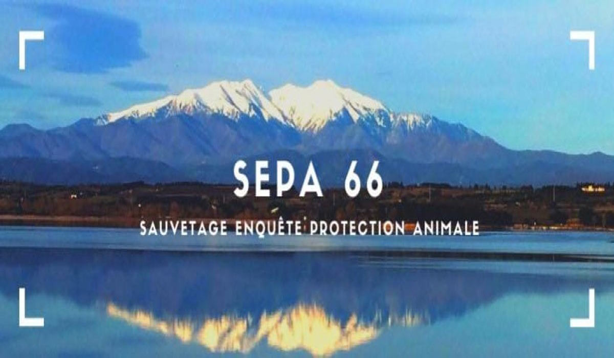 SEPA 66 une jeune association