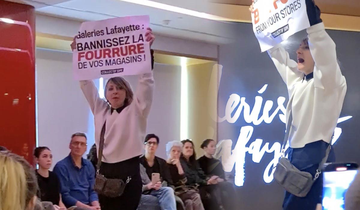 Le Collectif SIPE contre les Galeries Lafayette : la fourrure bientôt bannie du grand magasin ?