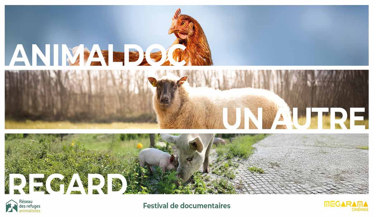 AnimalDoc, le premier festival de documentaires animalistes internationaux en Nouvelle-Aquitaine