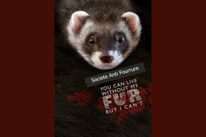 Trois associations soudées contre la fourrure