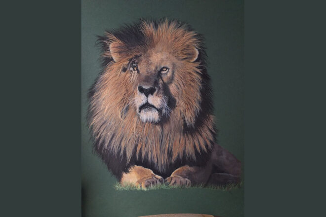 J’ai toujours été inspirée par le monde animal