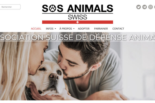 International rescues-Aller là où personne ne va