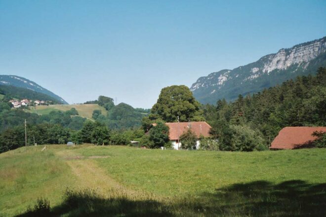 Le paradis perdu des chats