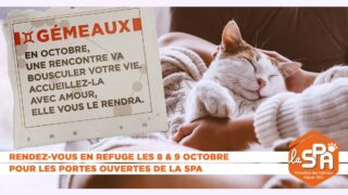 Les “Portes Ouvertes adoption” de la SPA les 8 et 9 octobre