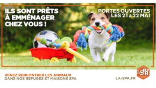 Les “Portes Ouvertes adoption” de la SPA font leur grand retour les 21 et 22 mai